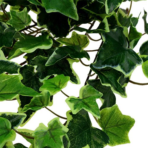 Floristik24 Klimophanger wit-groen 70cm