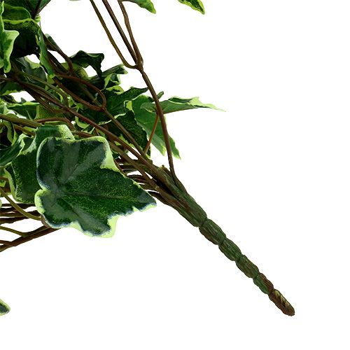 Floristik24 Klimophanger wit-groen 70cm