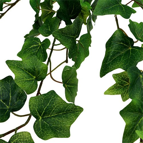 Floristik24 Kunst klimophanger groen L80cm