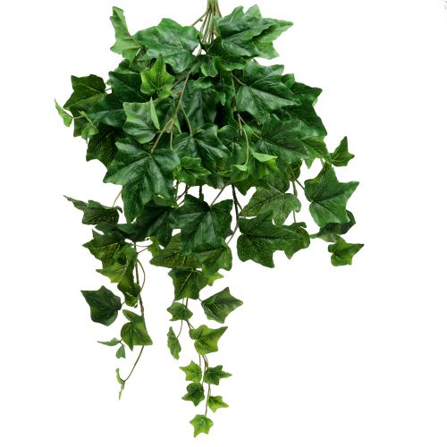 Klimophanger groot blad 60cm