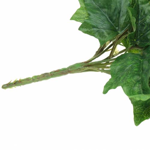 Floristik24 Klimophanger groot blad 86cm