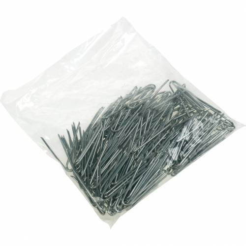 Artikel Klimopnaalden 40 mm Gegalvaniseerde plantennaalden Begrafenisbloemen 400 g