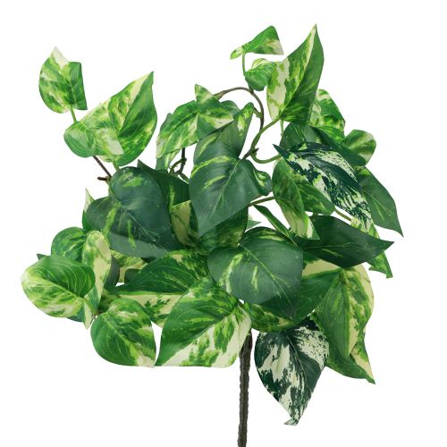 Floristik24 Klimopplant Pothos klimop kunstgoudrank 50cm