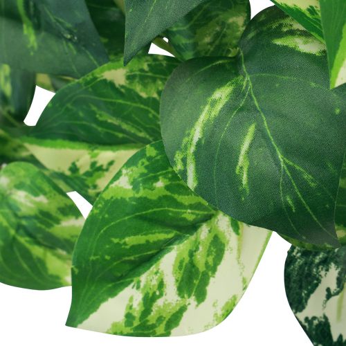 Floristik24 Klimopplant Pothos klimop kunstgoudrank 50cm