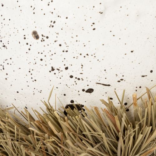 Artikel Paasnestkommetje in eivorm voor lentedecoratie, 11 cm, 4 stuks