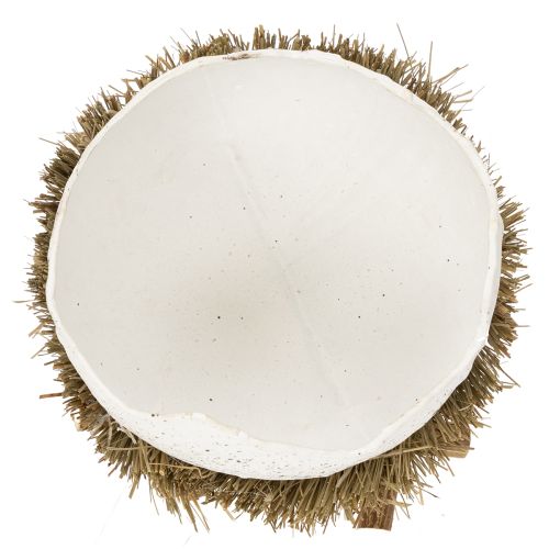 Artikel Paasnestkommetje in eivorm voor lentedecoratie, 11 cm, 4 stuks