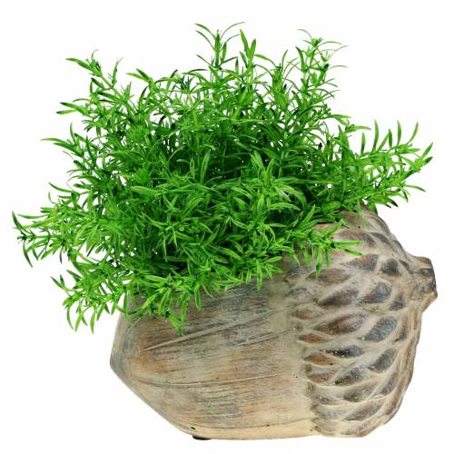 Floristik24 Plantenbak beton eikel 21,5cm × 14cm H9,5cm