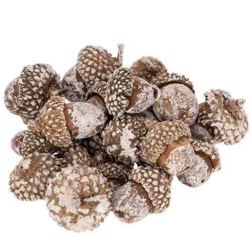 Eikels, natuurlijk decoratief product, witgekalkt, 1-3 cm, 300 g