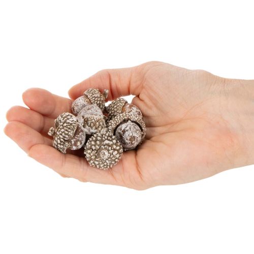 Eikels, natuurlijk decoratief product, witgekalkt, 1-3 cm, 300 g | Floristik24.nl