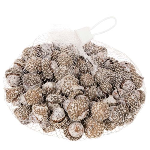 Eikels, natuurlijk decoratief