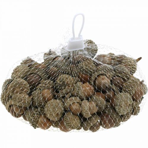 Artikel Eikels voor decoratie, herfstdecoratie, herfstvruchten natuurlijk Ø1,5 - 2,5cm L1,5 - 3cm 300g