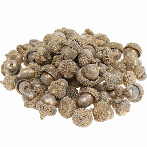 Floristik24 Herfstvruchten goudkleurig, feestelijke herfstdecoraties, decoratieve eikels natuurlijk, adventsdecoratie Ø1,5 - 2,5cm L1,5 - 3cm 300g