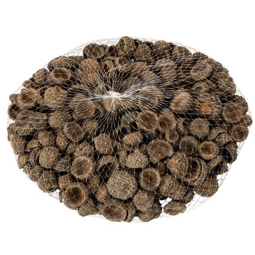 Natuurlijke eikelkapjes, decoratieve schalen voor de herfst en advent, 2 cm, 300 g | Floristik24.nl