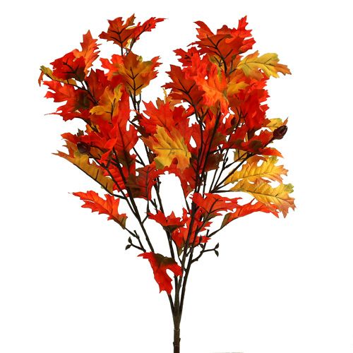 Eikenbladige struik oranje 56cm