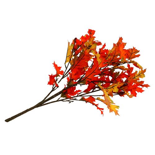 Floristik24 Eikenbladige struik oranje 56cm