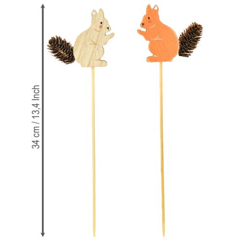 Artikel Eekhoorn decoratieve bloempluggen hout 9×8×1,5cm 12 stuks