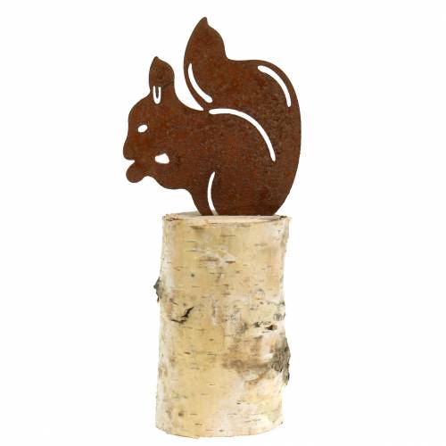 Floristik24 Eekhoorn patina op stam H22cm