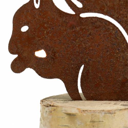 Floristik24 Eekhoorn patina op stam H22cm