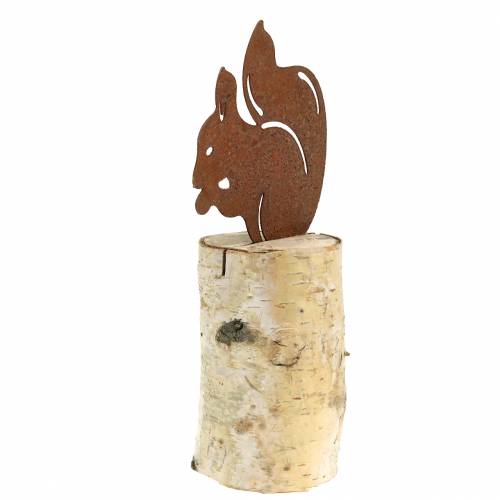 Floristik24 Eekhoorn patina op stam H22cm