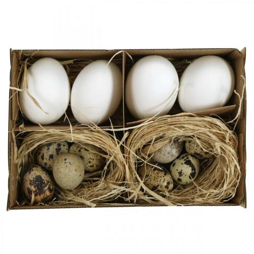 Floristik24 Decoratie eiermix kwarteleitjes &amp; kippeneieren Uitgeblazen paaseieren