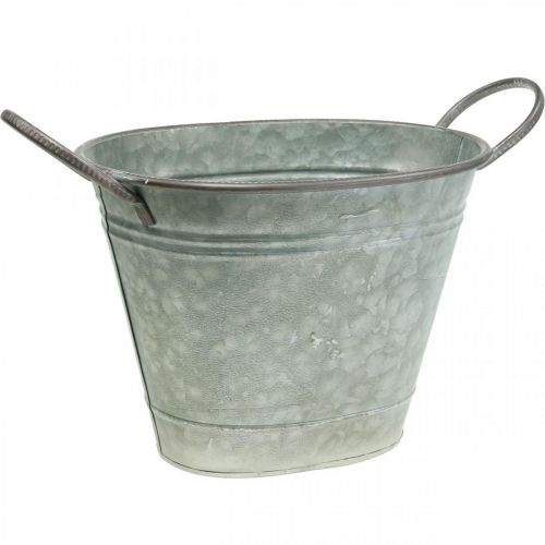 Floristik24 Plantenbak, metalen bak met handvatten, decoratieve schaal L32cm H24cm