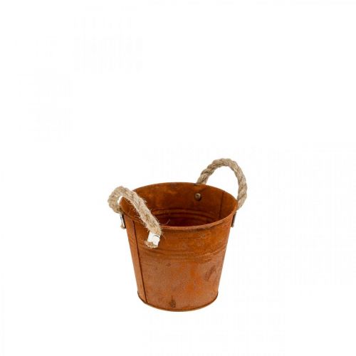 Floristik24 Plantenpot, herfstdecoratie, metalen schaal met patina Ø14cm H12cm