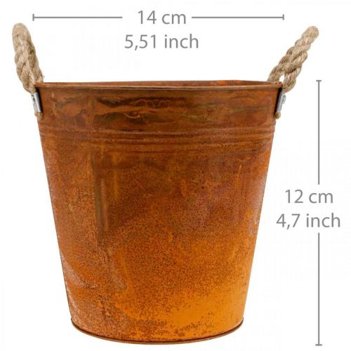 Floristik24 Plantenpot, herfstdecoratie, metalen schaal met patina Ø14cm H12cm