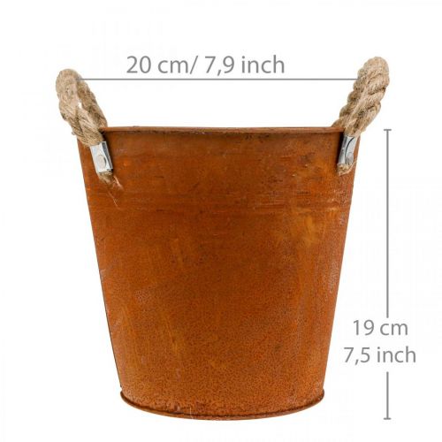 Floristik24 Sierpot met handvatten, herfstdecoratie, metalen schaal patina Ø20cm H19cm