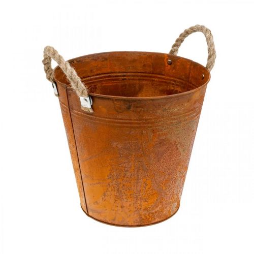 Floristik24 Plantenbak met handvatten, plantenbak, metalen bak met roestdecoratie Ø25cm H24cm