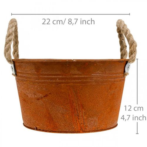 Floristik24 Metalen pot met touwgrepen, plantenschaal, herfst, patina Ø22cm H12cm