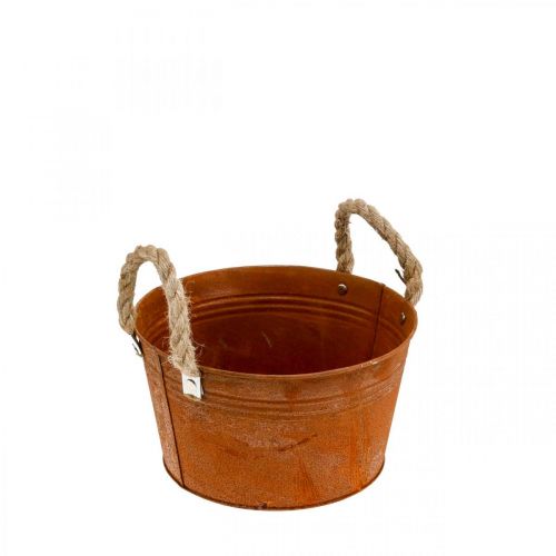 Floristik24 Metalen pot met touwgrepen, plantenschaal, herfst, patina Ø22cm H12cm