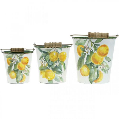 Floristik24 Sier emmer citroenen mediterrane plantenbak Ø13,5/11/9cm H14/11,5/cm set van 3