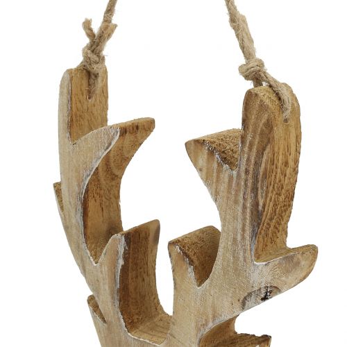 Floristik24 Elandkop hout om op te hangen 20x10.5cm 2st