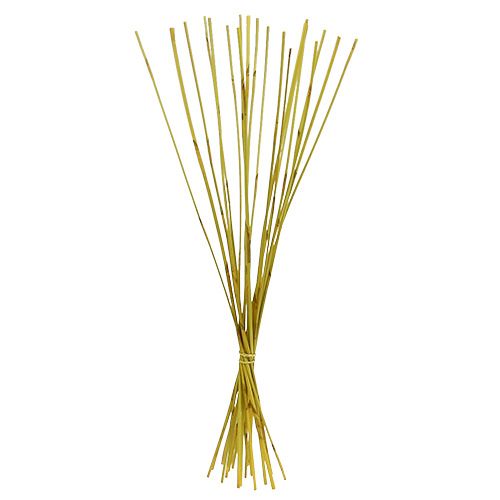 Floristik24 Decoratieve sticks, Elephant Reed geel 20st