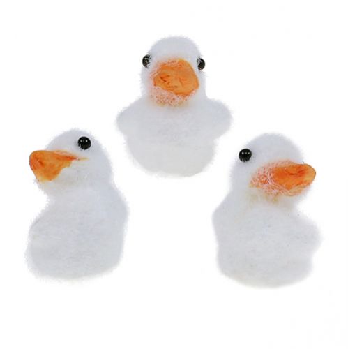 Floristik24 Duck mini gevlokt 4cm wit 12st