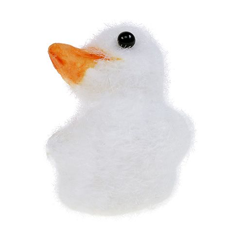 Floristik24 Duck mini gevlokt 4cm wit 12st
