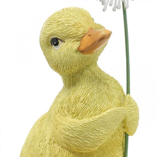 Floristik24 Lentedecoratie, eendjes met paardebloem, decoratief figuur H13.5cm