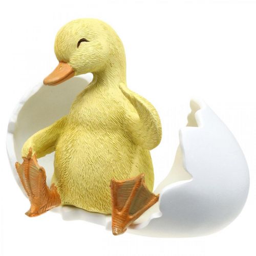 Floristik24 Uitgekomen kuiken, eend figuur, eendje in ei H10cm B12.5cm