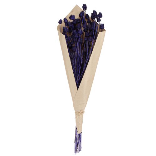 Artikel Aardbeiendistels Droge disteldisteldecoratie Violet 44-58cm 100g