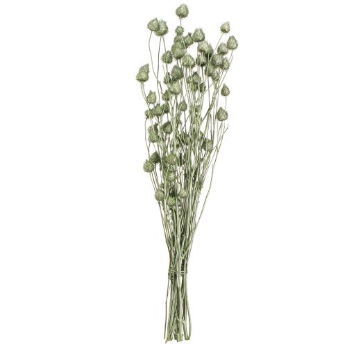 Artikel Aardbeististels in metallic groen Ø1cm–2cm L55cm 100g