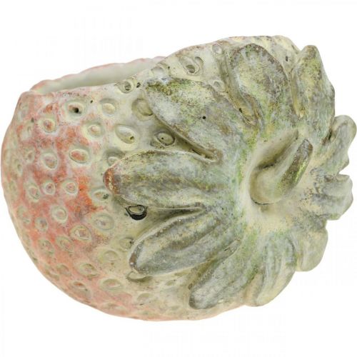 Artikel Decoratieve aardbei, plantenpot, betonnen decoratie voor opplant L17cm