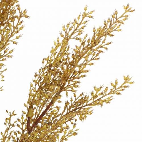 Floristik24 Decoratieve heidetak, geel heide, bruin H50cm