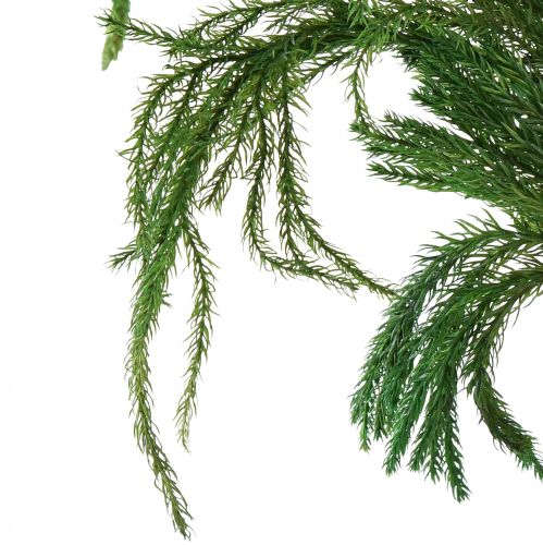 Artikel Erika mos decoratief mosgroen natuurlijke decoratie gedroogd 20-35cm 400g
