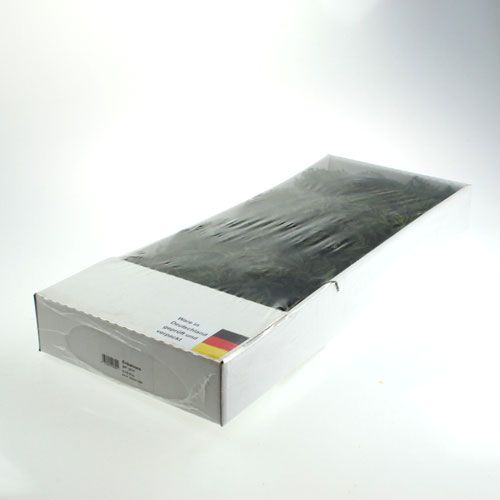 Floristik24 Erikamoos groen 750gr