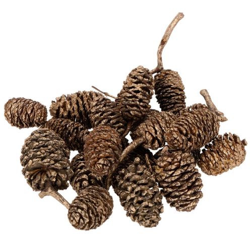 Elzenkegels, natuurlijk product voor decoratie en knutselen, goudkleurig, 3 cm, 300 g