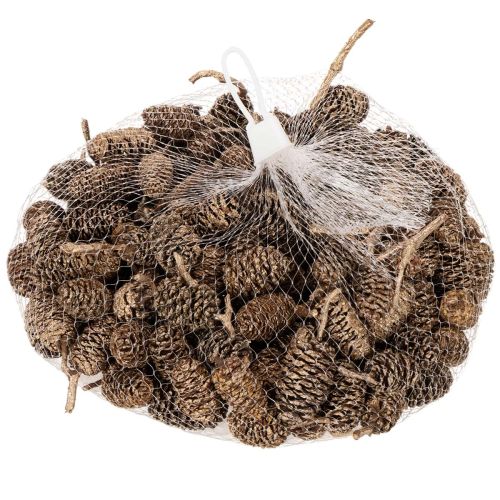 Elzenkegels, natuurlijk