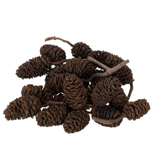 Natuurlijke elzenkegels, los, voor decoratie, 3 cm, 300 g, naturel bruin.
