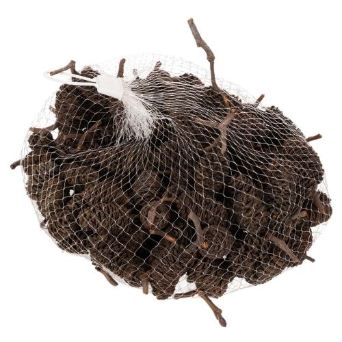 Natuurlijke elzenkegels, los,