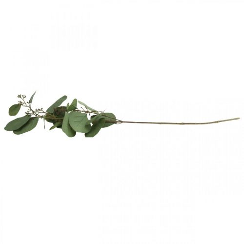 Floristik24 Kunst deco tak eucalyptus met knoppen kunstplant 60cm
