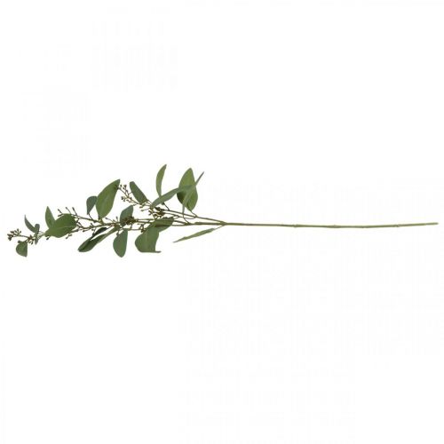 Floristik24 Eucalyptus kunsttak met knoppen deco tak 60cm
